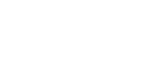 Borfire